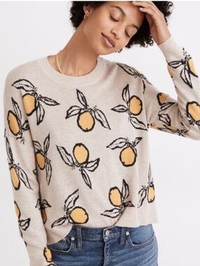 Madewell Tangerine Sketch Sweater Size XS